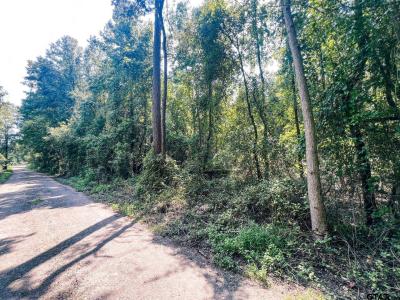 Xxx Cr 2220, Pittsburg, 得克萨斯州 75686, 美国