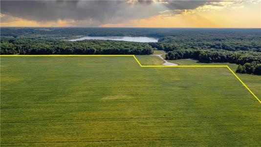 North County Rd. 1800 E., Charleston, Illinois 61920, USA