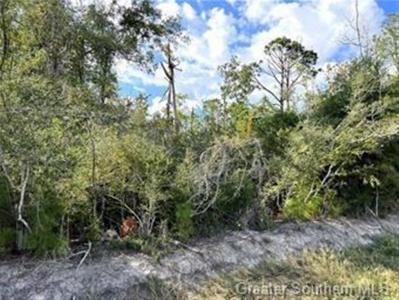 0 Nelson Road, Lake Charles, Louisiana 70605