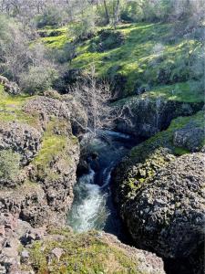 Wilder, Chico, California 95928, USA