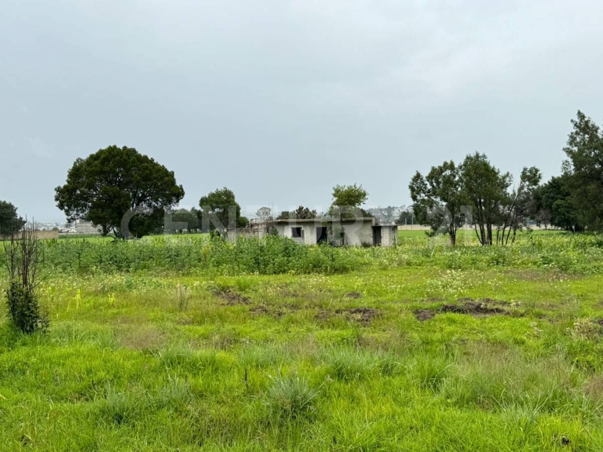10 de mayo , Apizaco, Tlaxcala 90402, Mexico