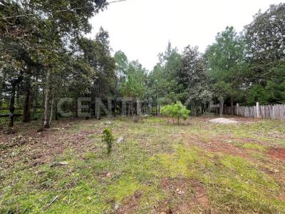 Comunidad San Jose Buenavista, carretera a corralito. s/n, San Cristóbal De Las Casas, Chiapas 29201, Mexico