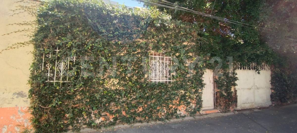 Cda. Victor Hugo , Benito Juárez, Ciudad De México 03440, المكسيك