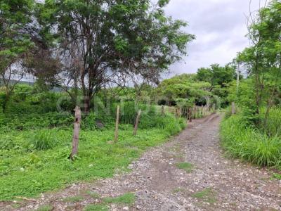 Finca Campestre 'El Milagro' S/N, Apazapan, Veracruz 91631, Mexico