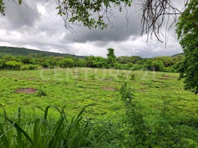 Finca Campestre 'El Milagro' S/N, Apazapan, Veracruz 91631, Mexico