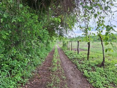Finca Campestre 'El Milagro' S/N, Apazapan, Veracruz 91631, Mexico
