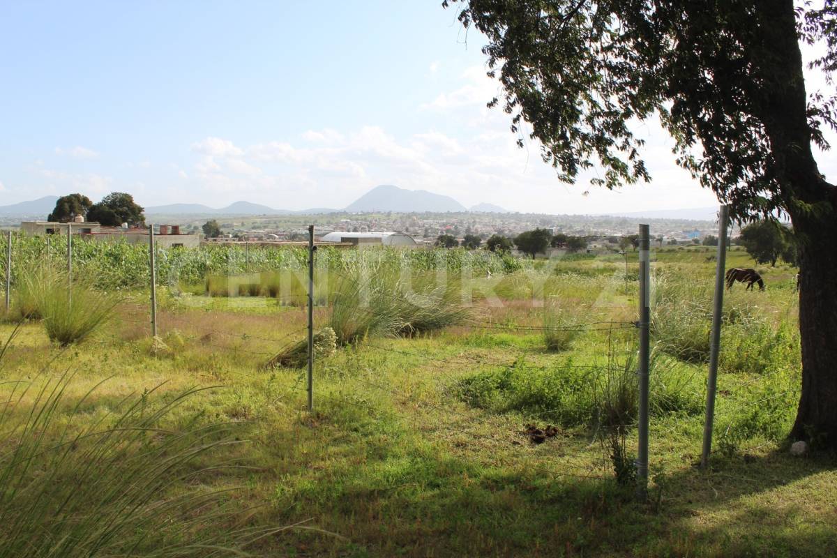 Nopalucan, פואבלה 75120, מקסיקו 