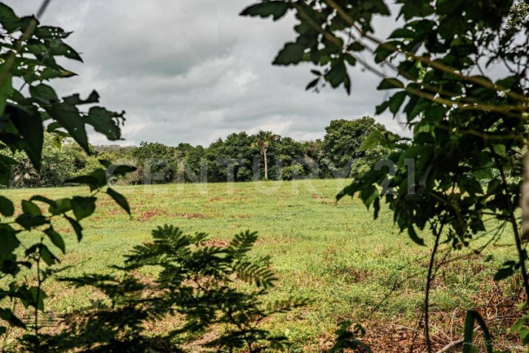 Tampico Alto, 韦拉克鲁斯 92042, 墨西哥