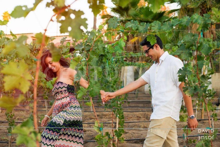 CARRETERA LIBRE TECATE ENSENADA KM 10, Tecate, 下加利福尼亚州 21507, 墨西哥