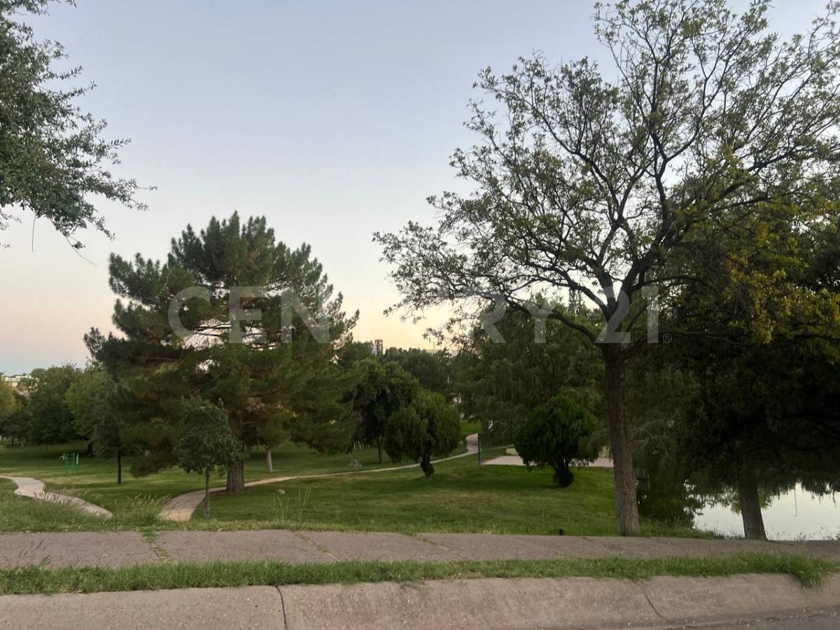 チワワ, チワワ 31215, メキシコ