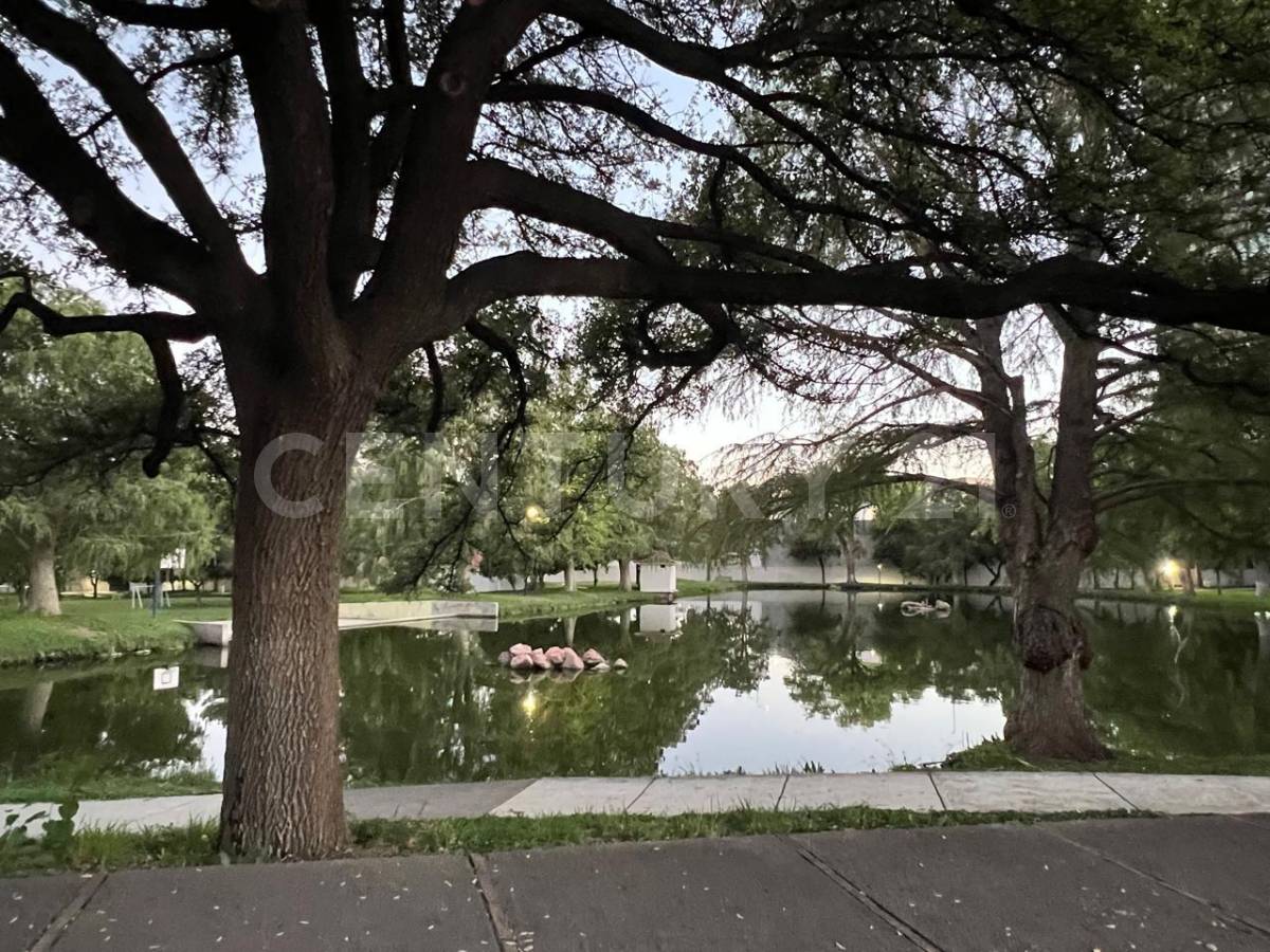 チワワ, チワワ 31215, メキシコ