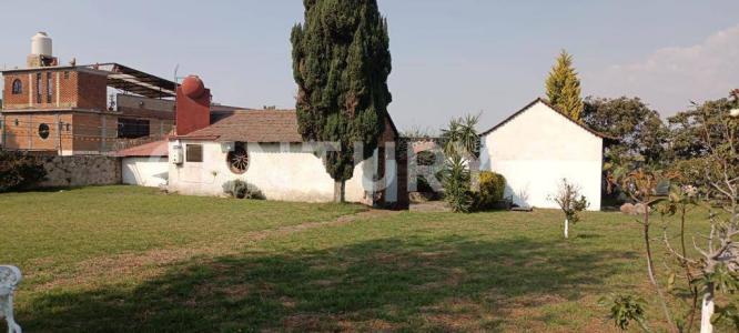 Violeta y Jazmín , Cocotitlan, Estado De México 56680, Mexico