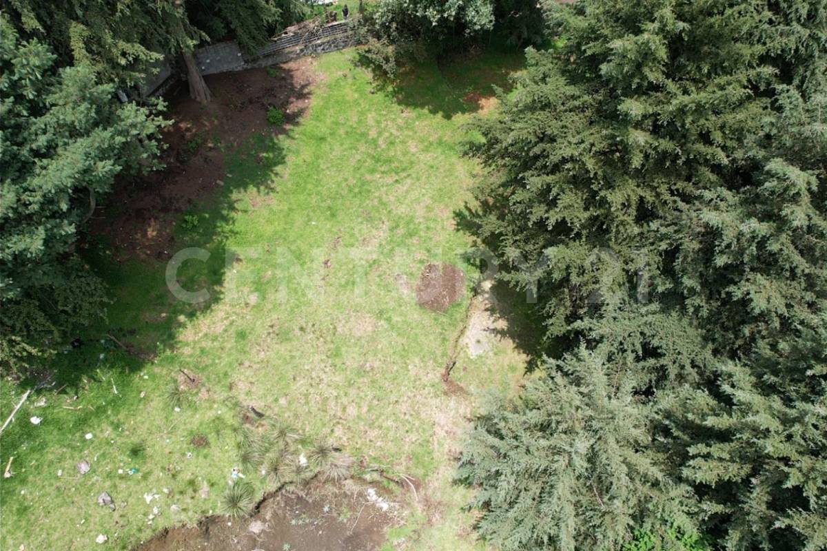 Cerrada de Fernando Montes de Oca S/N, Tlalpan, Ciudad De México 14710, Mexico