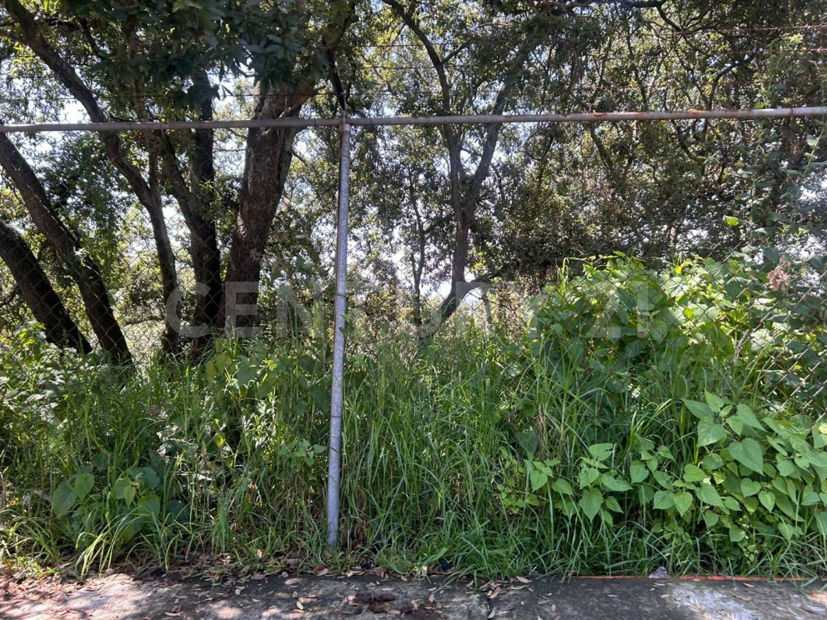 Boulevard de la Torre Lote 4 Mz. 39, Atizapán De Zaragoza, Estado De México 52938, Mexico