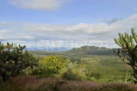 Predio Pozo Colorado, Fracción 1 . Ex Hacienda Escolásticas., Pedro Escobedo, Querétaro 76740, Mexico