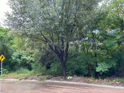 San Pedro Garza García, Nuevo León 66278, Mexico