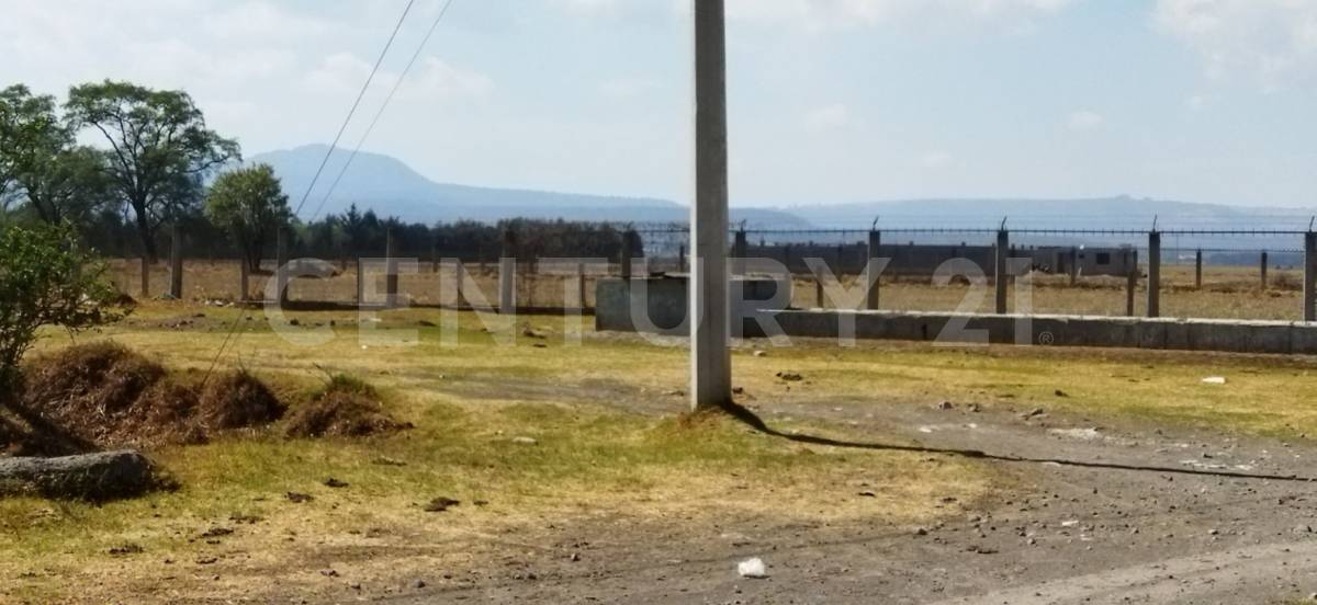 Guillermo Prieto , Tianguistenco, Estado De México 52600, Mexico