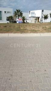 Paraiso marina S/N, Mazatlán, Синалоа 82103, Мексика