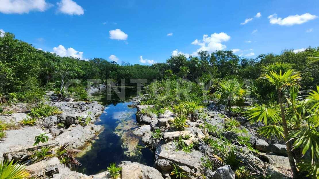 LOTE 11 LOC CALETA YALKU TULUM QUINTANA ROO , Tulum, 金塔纳罗奥 77780, 墨西哥