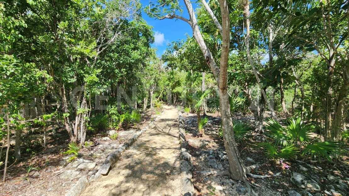 LOTE 11 LOC CALETA YALKU TULUM QUINTANA ROO , Tulum, 金塔纳罗奥 77780, 墨西哥