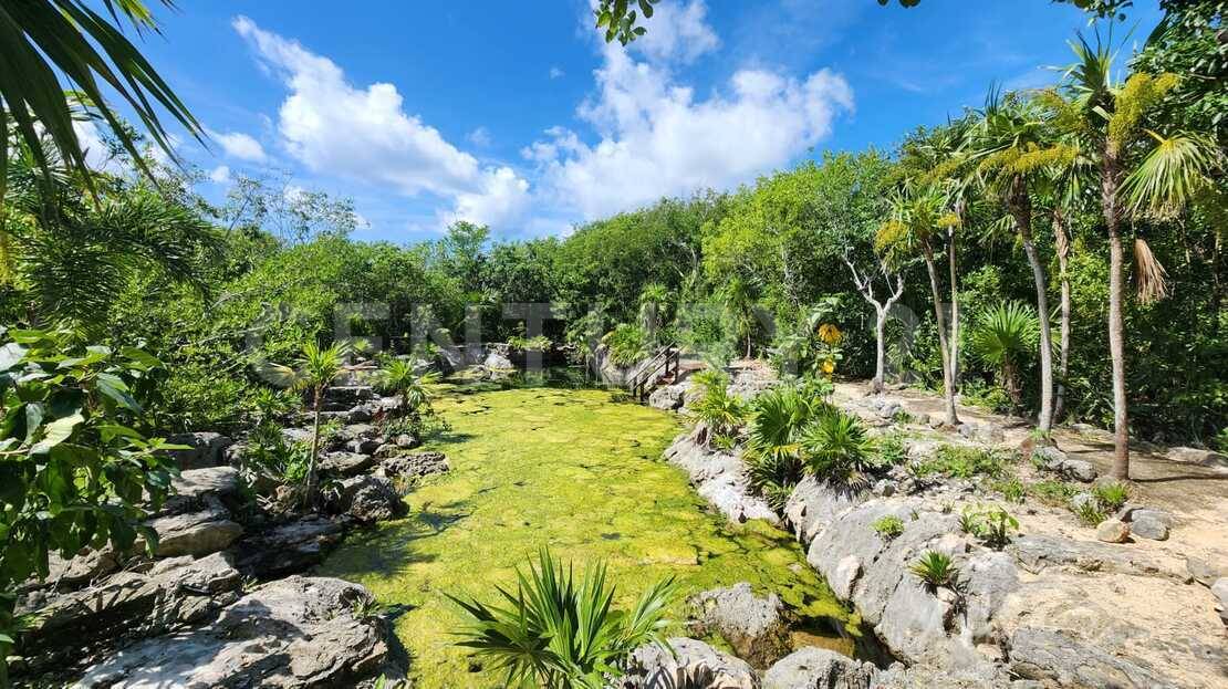 LOTE 11 LOC CALETA YALKU TULUM QUINTANA ROO , Tulum, 金塔纳罗奥 77780, 墨西哥