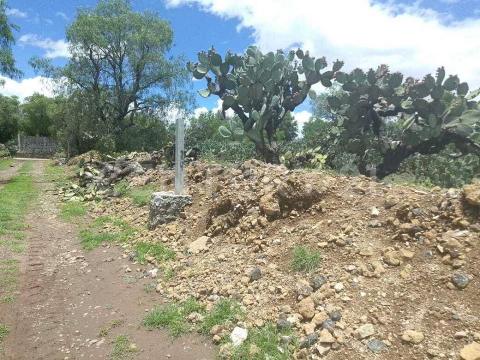 magnolias sn, Temascalapa, 墨西哥州 55980, 墨西哥