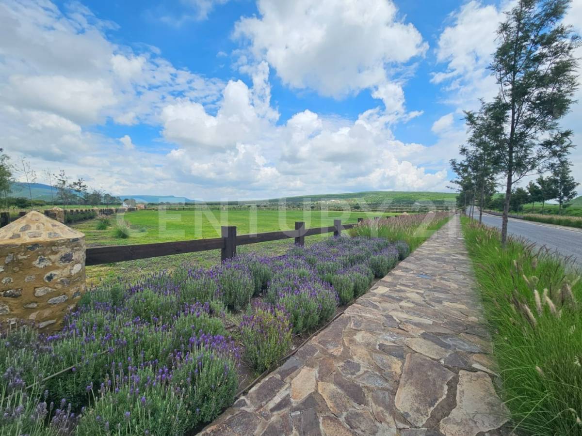 Jalpa SN, San Miguel De Allende, Guanajuato 37888, Mexico
