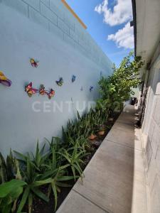 C. Octava 240, Reynosa, 塔毛利帕斯 88740, 墨西哥