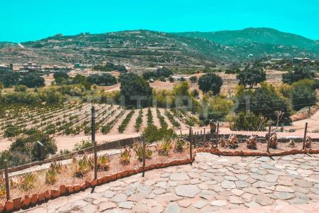 manzana 14 lote 42, Tecate, 바하칼리포르니아 21530, 멕시코