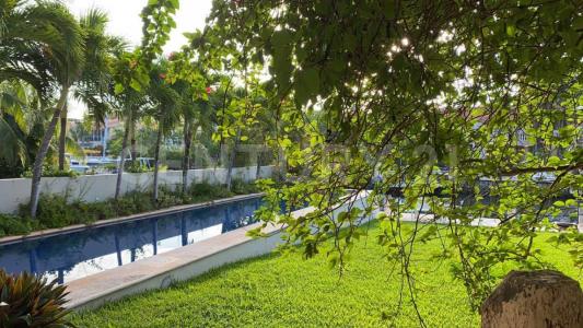 Solidaridad / Riviera Maya, Quintana Roo 77733, Mexico