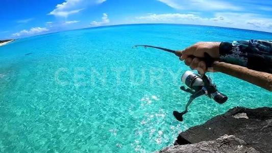 Solidaridad / Riviera Maya, Quintana Roo 77733, Mexico