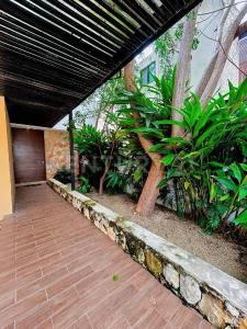 Camarú sn, Mérida, Yucatan 97305, Messico