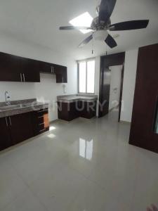 22 sn, Mérida, Yucatan 97113, Messico