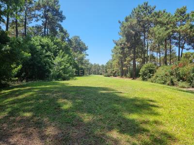 Almada, Setubal 2820-001, Portugal