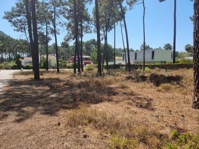 Almada, セトゥーバル 2820-001, ポルトガル