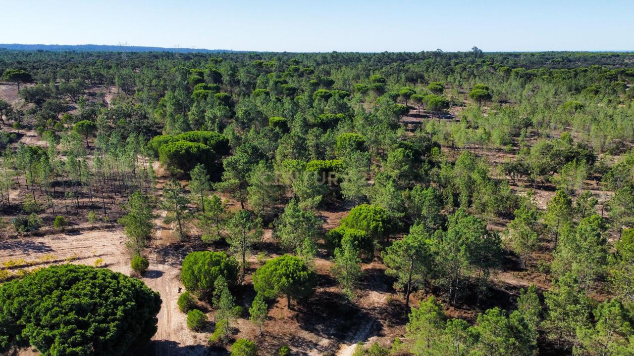 Grândola, Setúbal 7570-504, Portugal