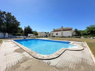 Setubal, Setubal 2925-467, Portugal