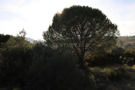 Loures, Lisbon 2670-883, Portugal