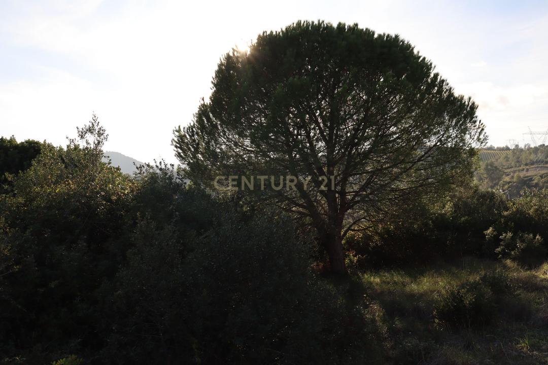 Loures, Lisboa 2670-883, Portugal