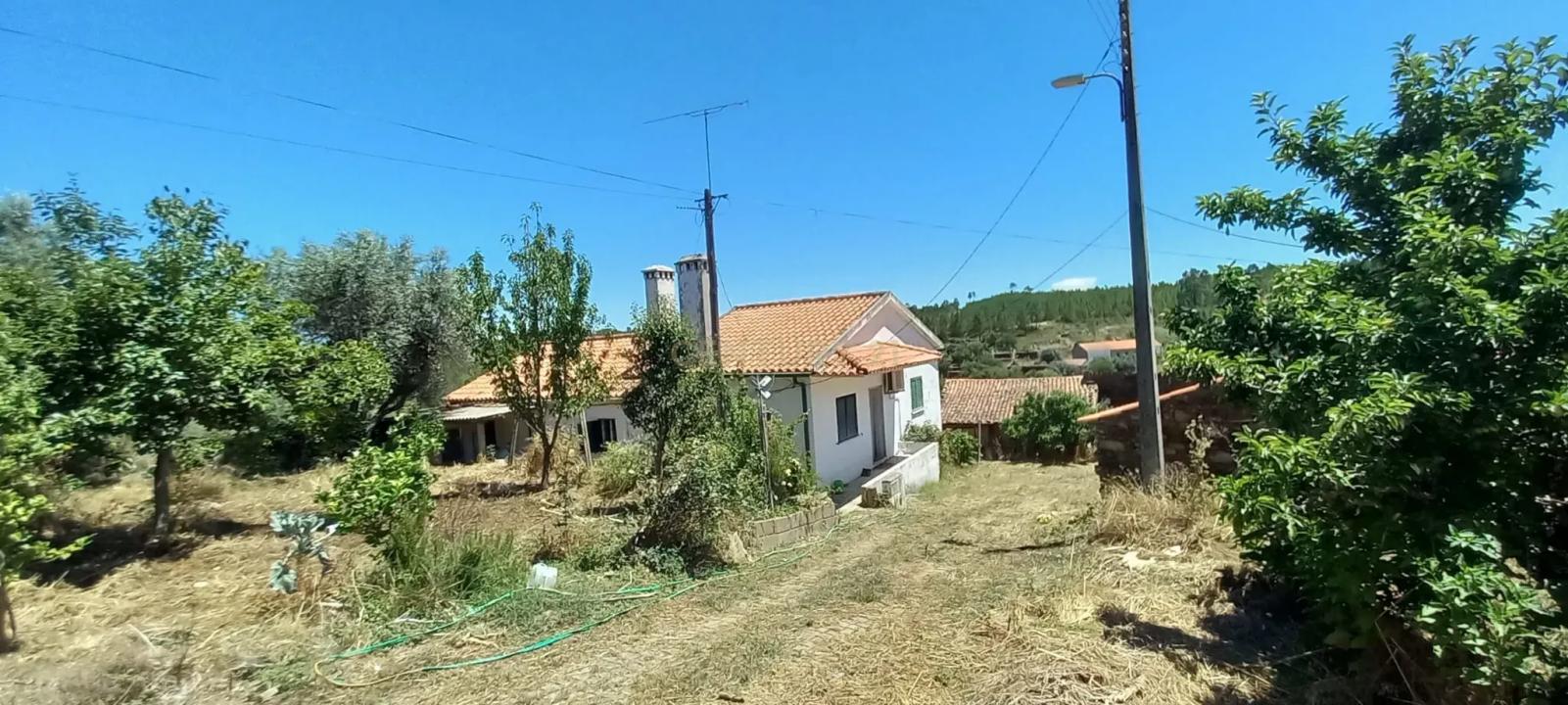 Castelo Branco, Castelo Branco 6000-666, Portugal