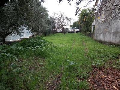 Castelo Branco, Castelo Branco 6000-067, Portugal