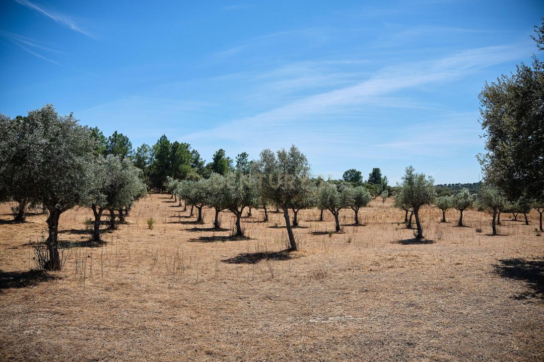 Fundão, カステロ・ブランコ 6230-511, ポルトガル