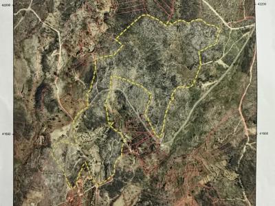 Castelo Branco, Castelo Branco 6005-270, Portugal