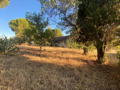 Castelo Branco, Castelo Branco 6005-232, Portugal