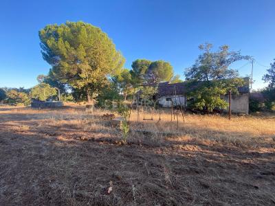 Castelo Branco, Castelo Branco 6005-232, Portugal