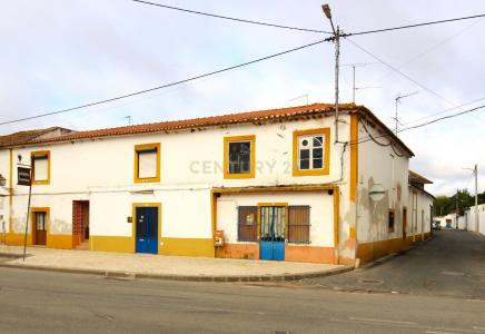 Golegã, סנטרם 2150-007, פורטוגל