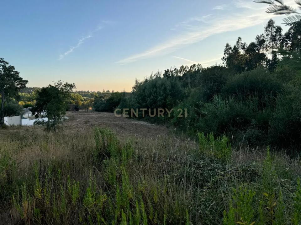 Condeixa A Nova, Coimbra 3150-0012, Portugal