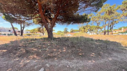 Sintra, Lisbon 2705-001, Portugal