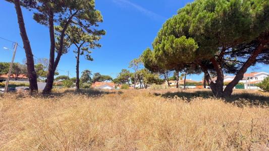 Sintra, Lisbon 2705-001, Portugal