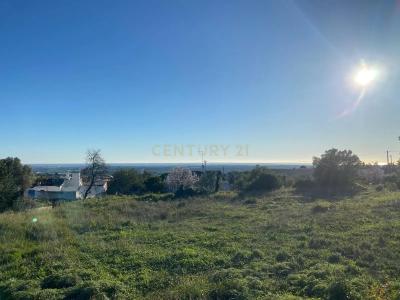 Faro, Faro 8005-406, Portugal